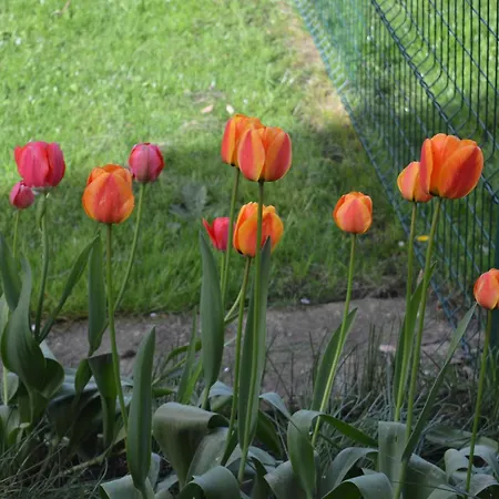 Chez Nous Vakantiehuis