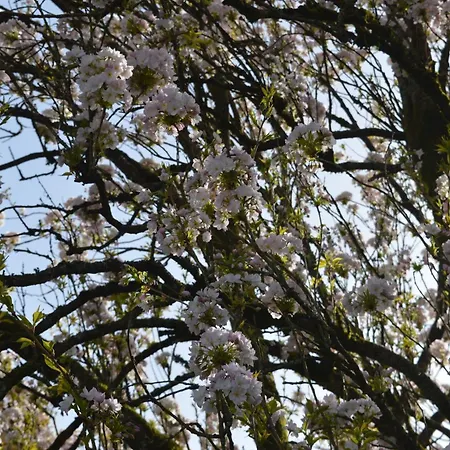 Vakantiehuis Chez Nous *